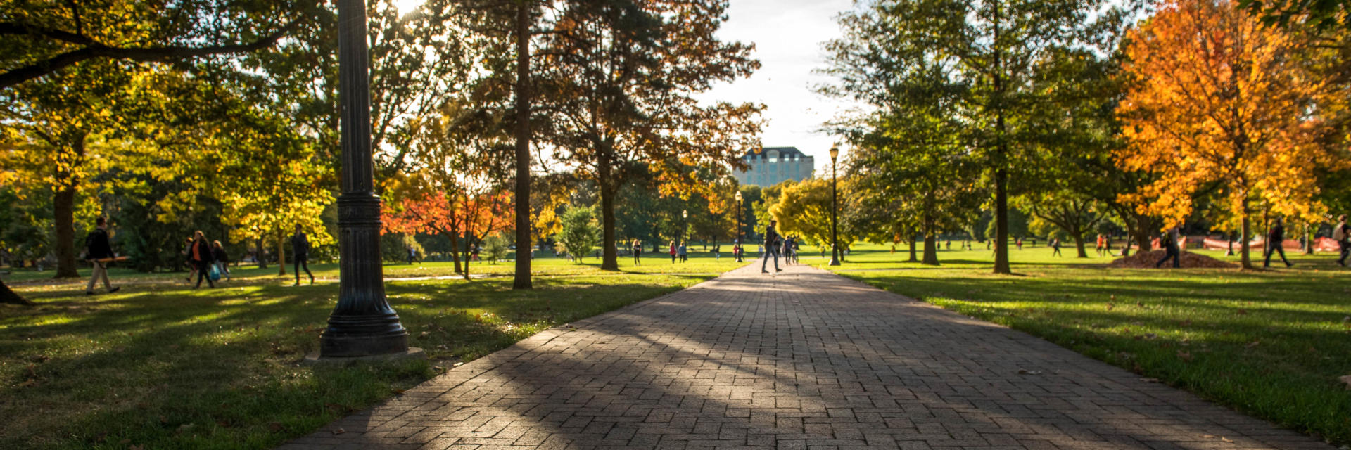 A low angle photo of the university seal on the Oval during fall semester