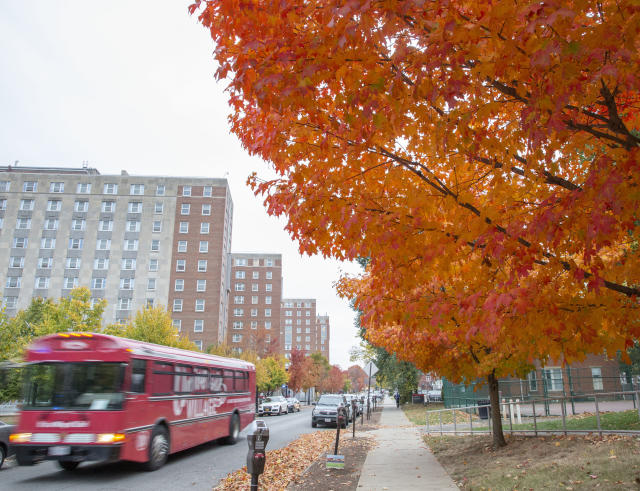 A photo of 11th Avenue in the fall